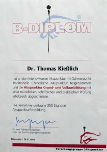 Akupunktur Grund- und Vollausbildung